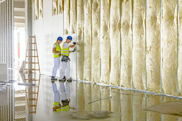 Best Energy Efficiency Solutions in Mathews, LA